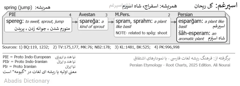 شاه اسپرغم